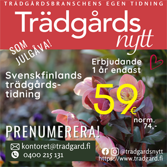 Erbjudandewebsida