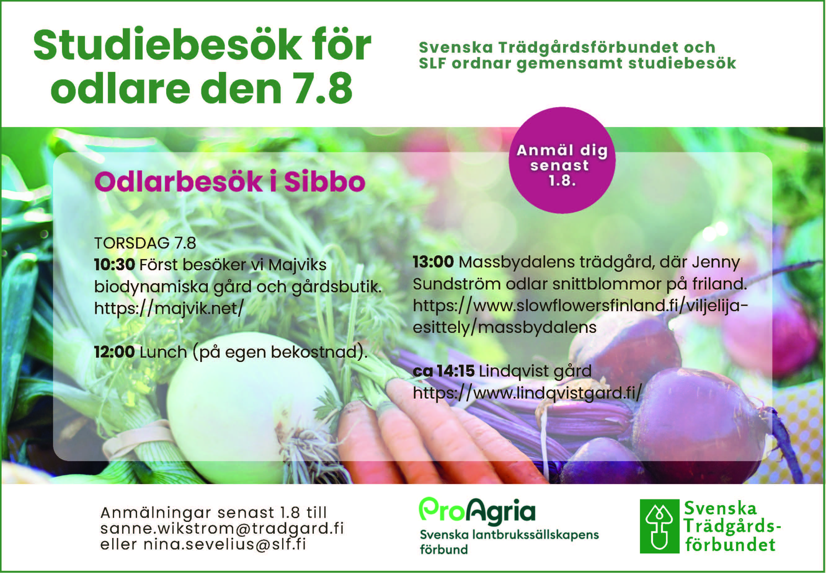 jpg.Studiebesök för odlare annons 180 x 125 mm kopio